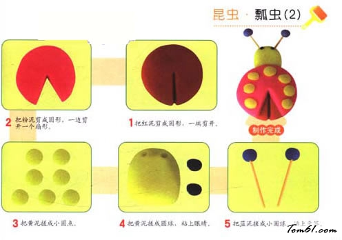 彩泥之瓢虫2图片1