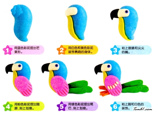 彩泥之鹦鹉图片2