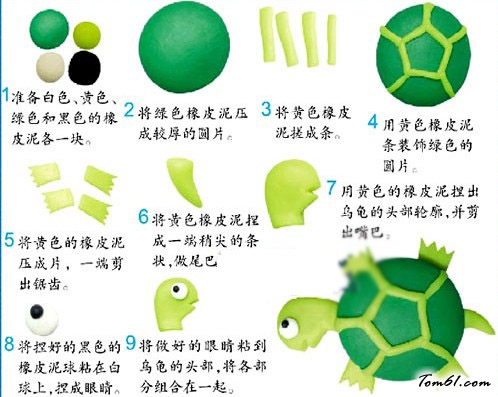 乌龟彩泥橡皮泥制作教程图解图片1
