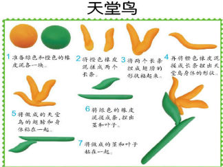 天堂鸟的彩泥橡皮泥制作教程图解