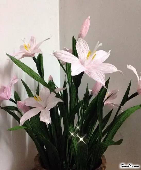 菲兰的手工制作教程图解图片1