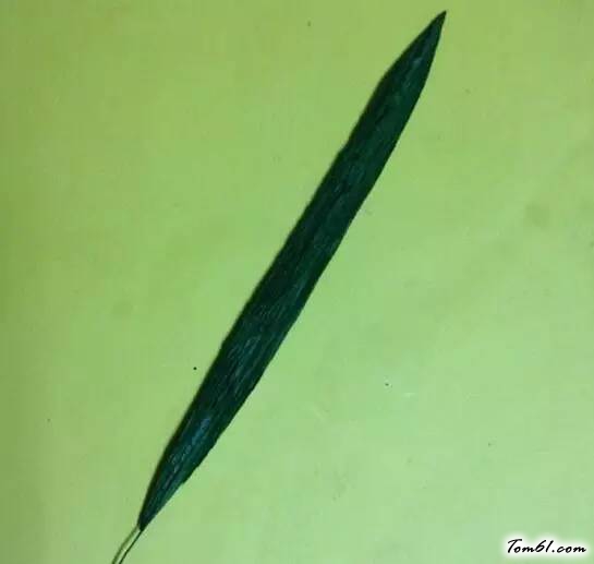 菲兰的手工制作教程图解图片13