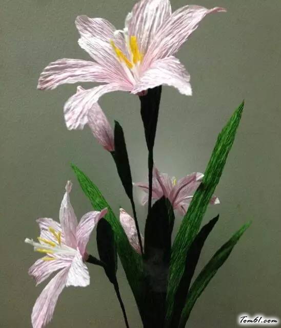 菲兰的手工制作教程图解