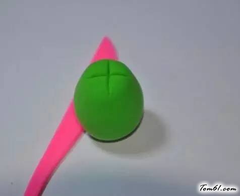 植物大战僵尸倭瓜图片5