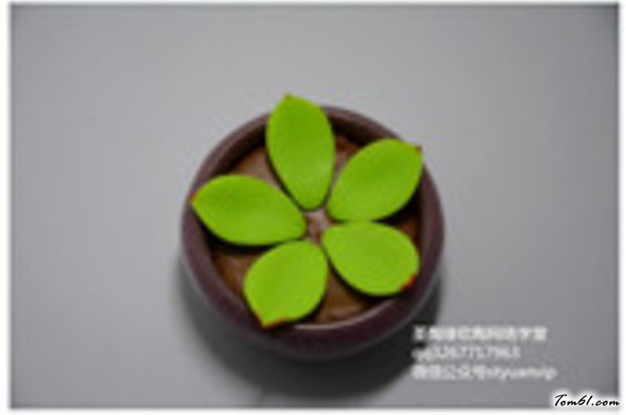 多肉的彩泥橡皮泥制作教程图解图片4