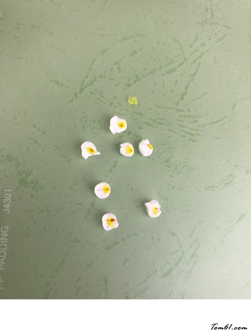 龙猫玻璃瓶的彩泥橡皮泥制作教程图解图片11