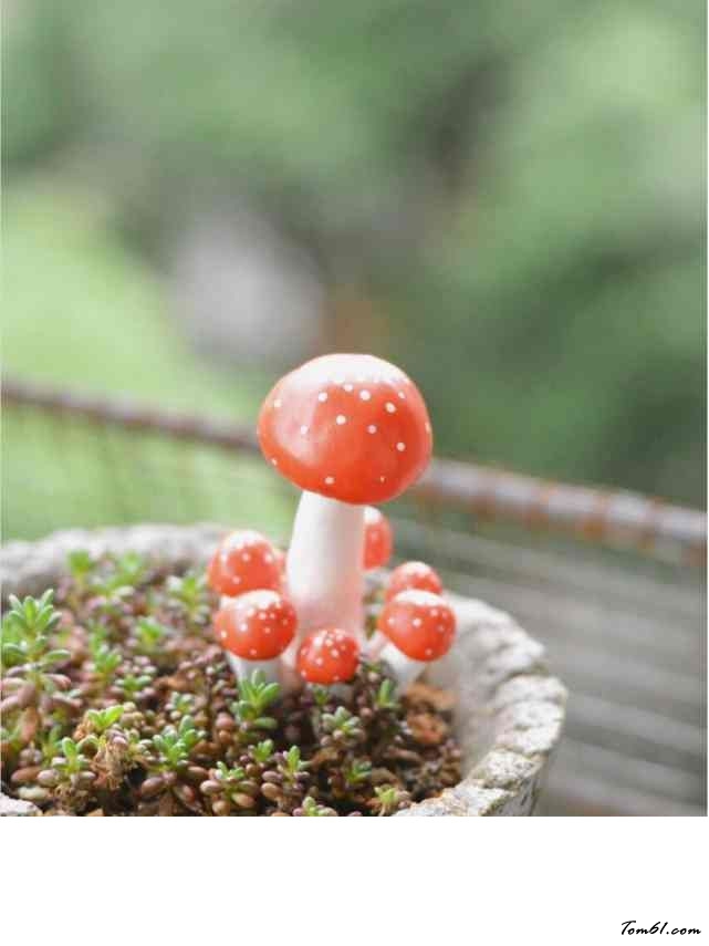 微型蘑菇瓶的彩泥橡皮泥制作教程图解图片24 微型蘑菇瓶的彩泥橡皮泥制作教程图解图片24