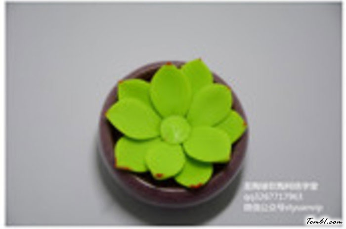 多肉的彩泥橡皮泥制作教程图解图片5