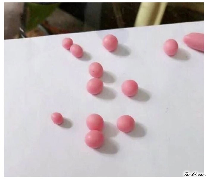 多肉植物盆栽的彩泥橡皮泥制作教程图解图片2