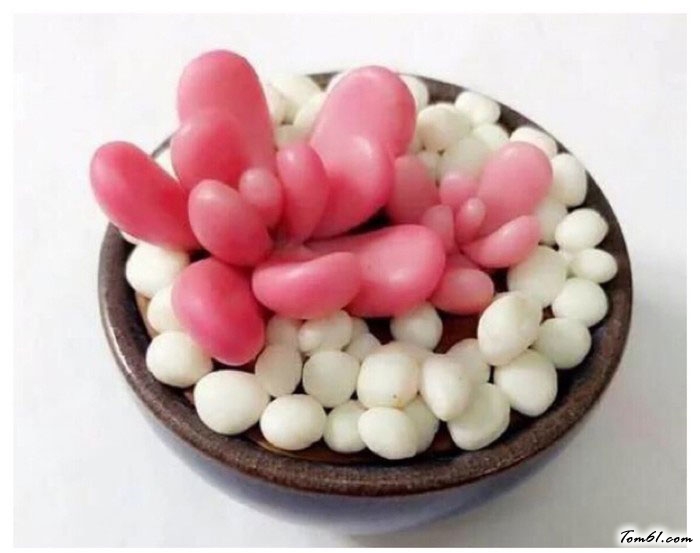 多肉植物盆栽的彩泥橡皮泥制作教程图解