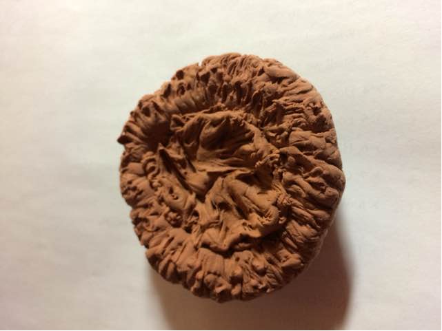 超轻粘土鸟巢里的可爱小蓝鸟的制作