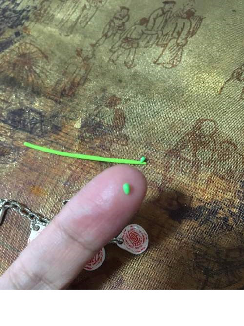 迷你粘土园艺多肉盆栽的制作