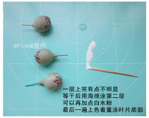 海豹水泡粘土小多肉盆栽