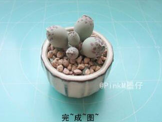 海豹水泡粘土小多肉的彩泥橡皮泥制作教程