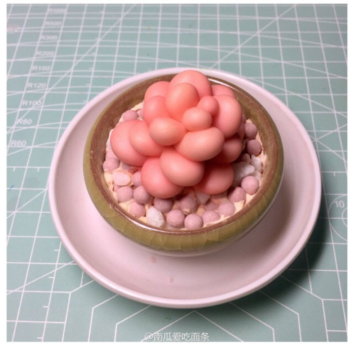 粉色的粘土多肉小植物