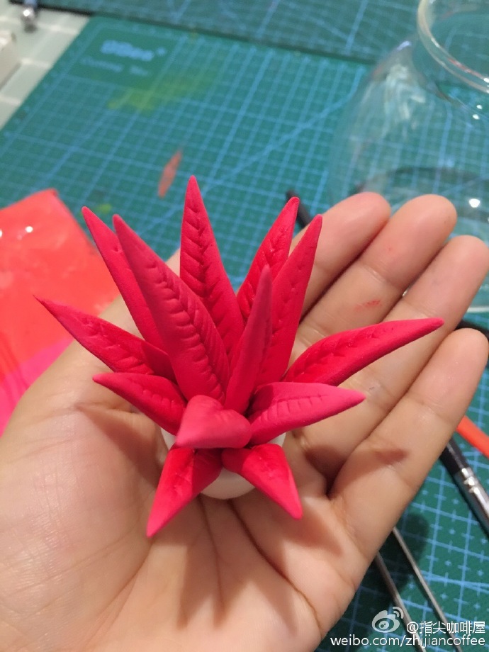 迷你的红色粘土肉肉做法