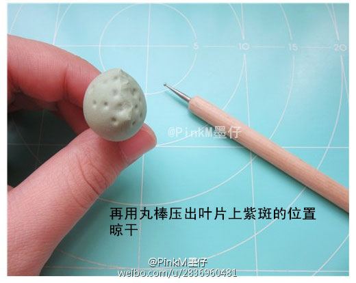 海豹水泡粘土小多肉盆栽