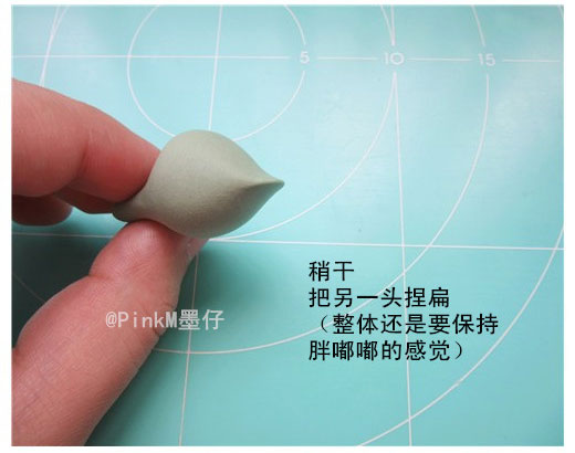 海豹水泡粘土小多肉盆栽