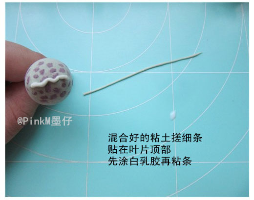 海豹水泡粘土小多肉盆栽