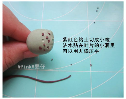 海豹水泡粘土小多肉盆栽