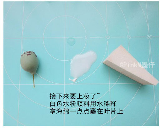 海豹水泡粘土小多肉盆栽