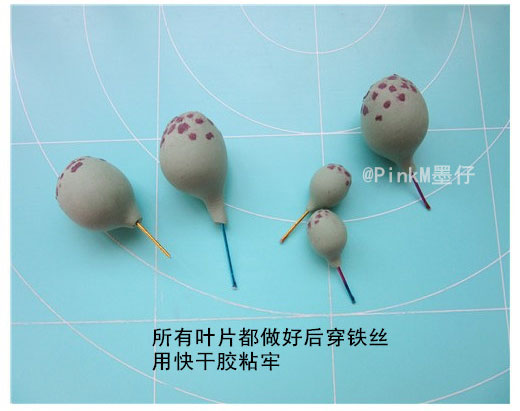 海豹水泡粘土小多肉盆栽