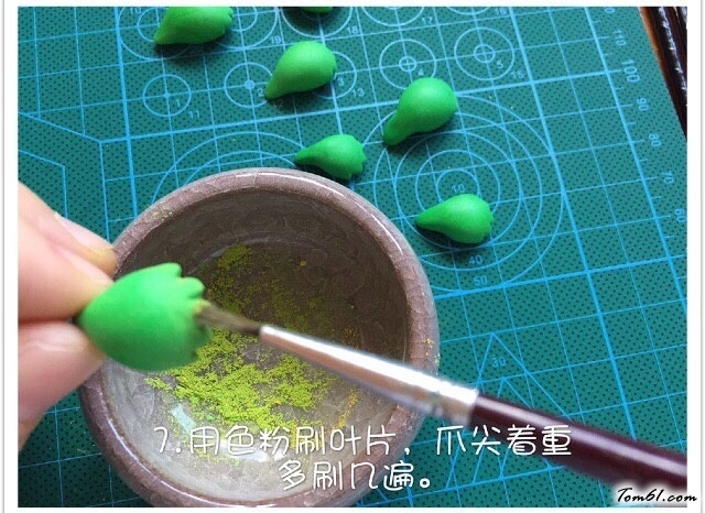 粘土的熊童子多肉植物教程做法
