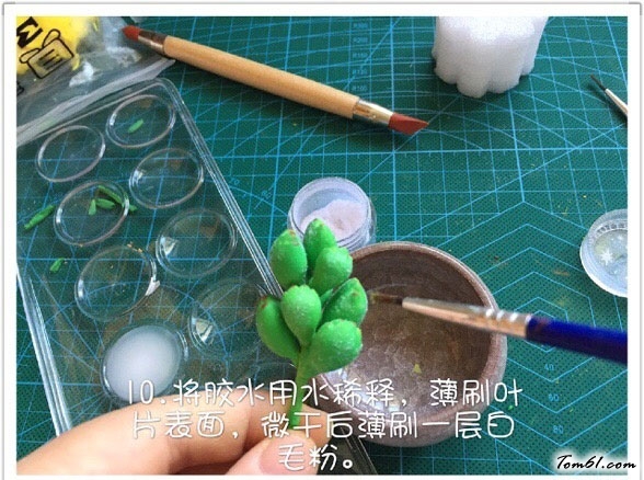 粘土的熊童子多肉植物教程做法