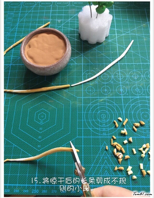 粘土的熊童子多肉植物教程做法