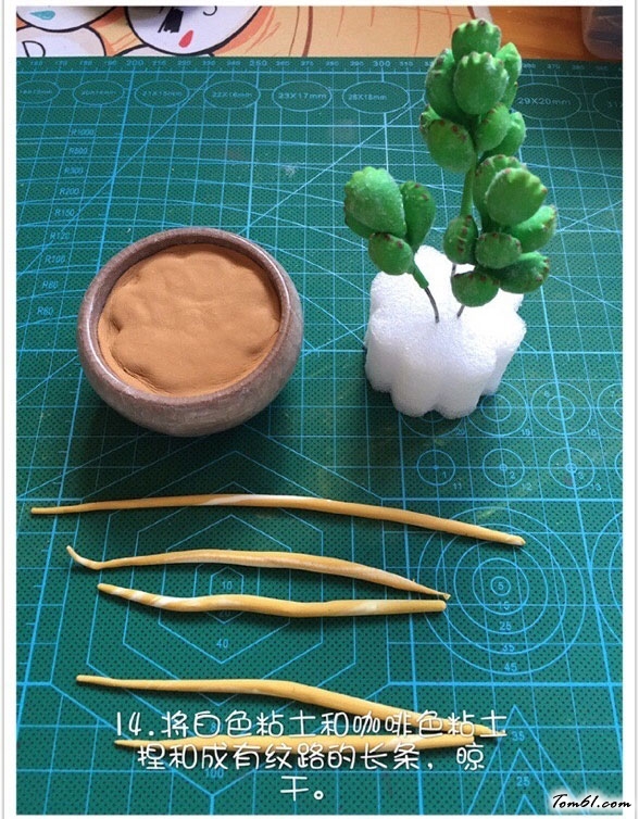 粘土的熊童子多肉植物教程做法