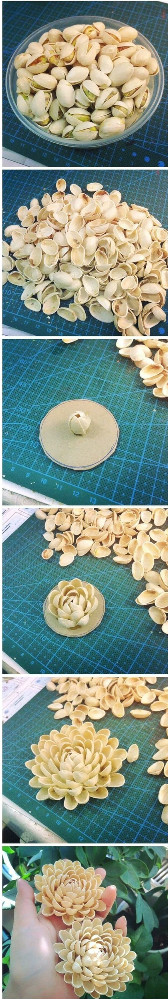 开心果壳DIY之花朵图片2