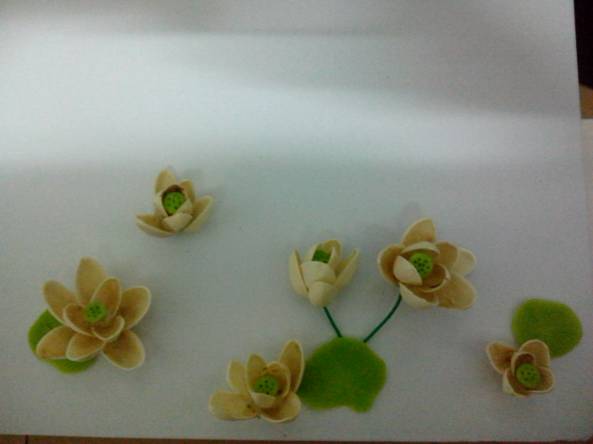 开心果壳DIY之莲花荷塘图片4