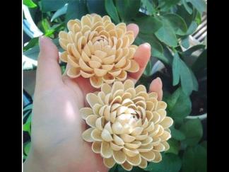 花朵DIY废物利用的创意制作图解教程