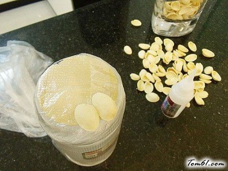 开心果壳的废物利用的创意制作图解教程图片3