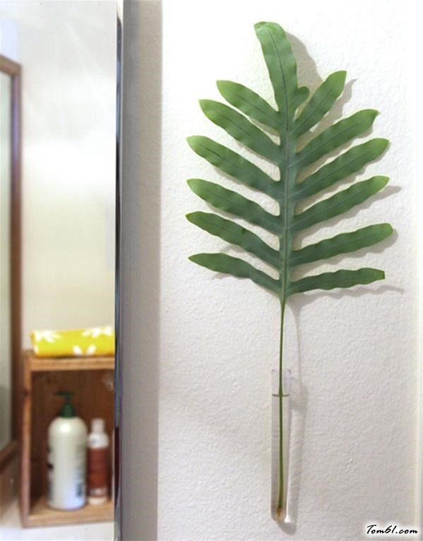 植物试管的废物利用的创意制作图解教程 图片5