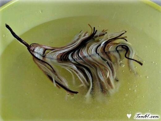 旧毛线的废物利用的创意制作图解教程图片4