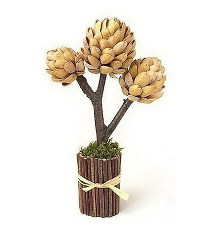 坚果树盆景的废物利用的创意制作图解教程