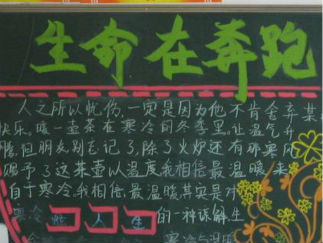 生命在奔跑1-黑板报版面设计图