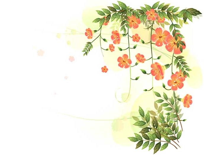 好看的黑板报花边图案-石榴花图片1