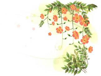 石榴花花边-黑板报版面设计图