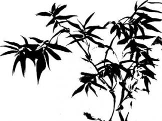 高洁的墨竹-黑板报版面设计图