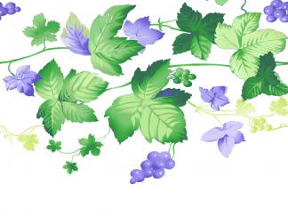 绿色的的花边-黑板报版面设计图