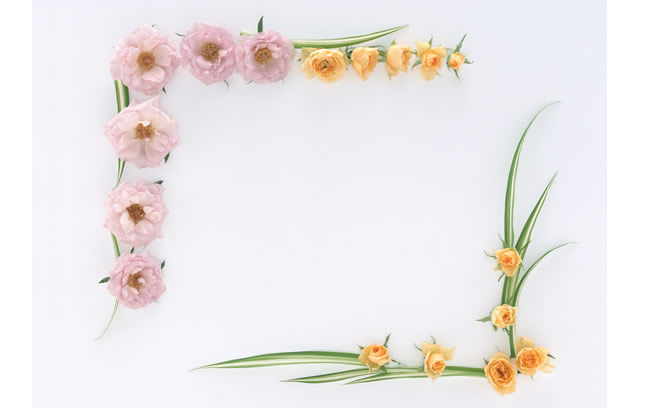 黑板报花边图案设计图-不一样的花朵图片1