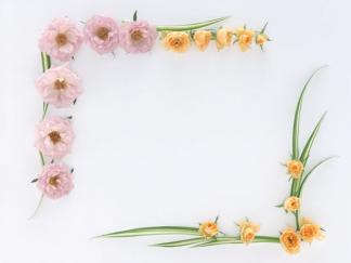 不一样的花朵-黑板报版面设计图