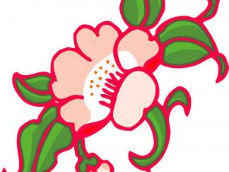 漂亮的花边插图-黑板报版面设计图