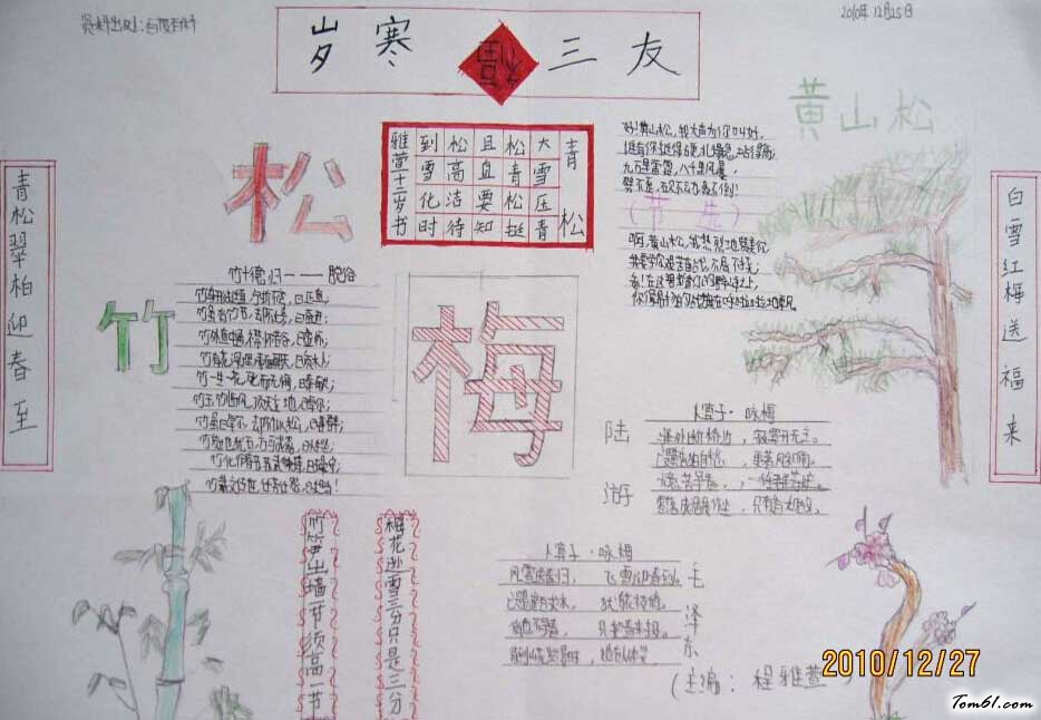 岁寒三友手抄报图片2图片1