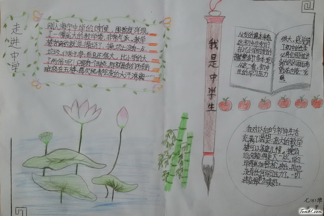 走进中学手抄报版面设计图2图片1
