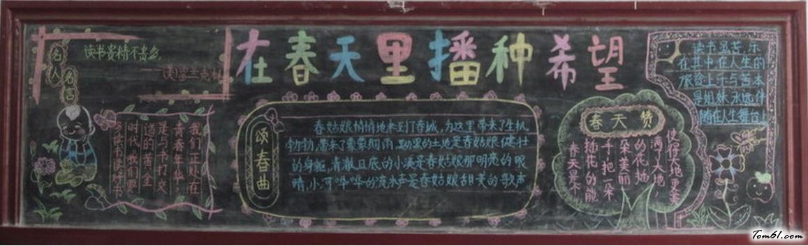 小学生春天预防传染病黑板报版面设计图3图片1