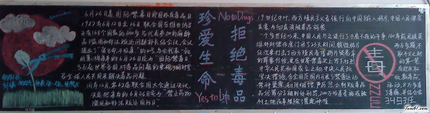 国际禁毒日黑板报版面设计图2图片1