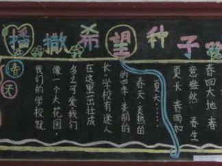 好看的春天黑板报版面设计图